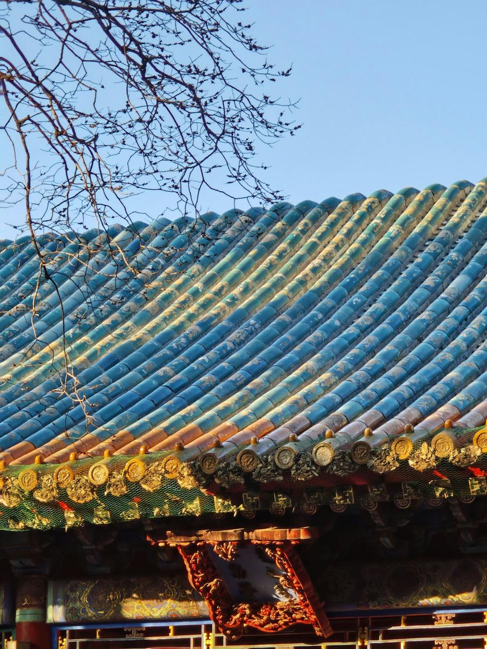 Sustainable Features