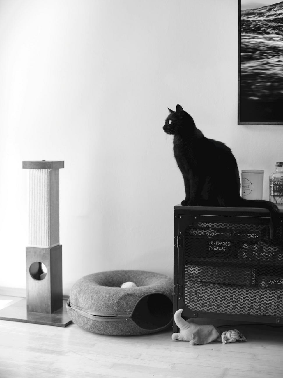 Interior Living