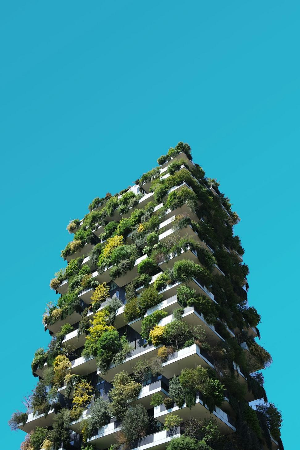Urban planning project