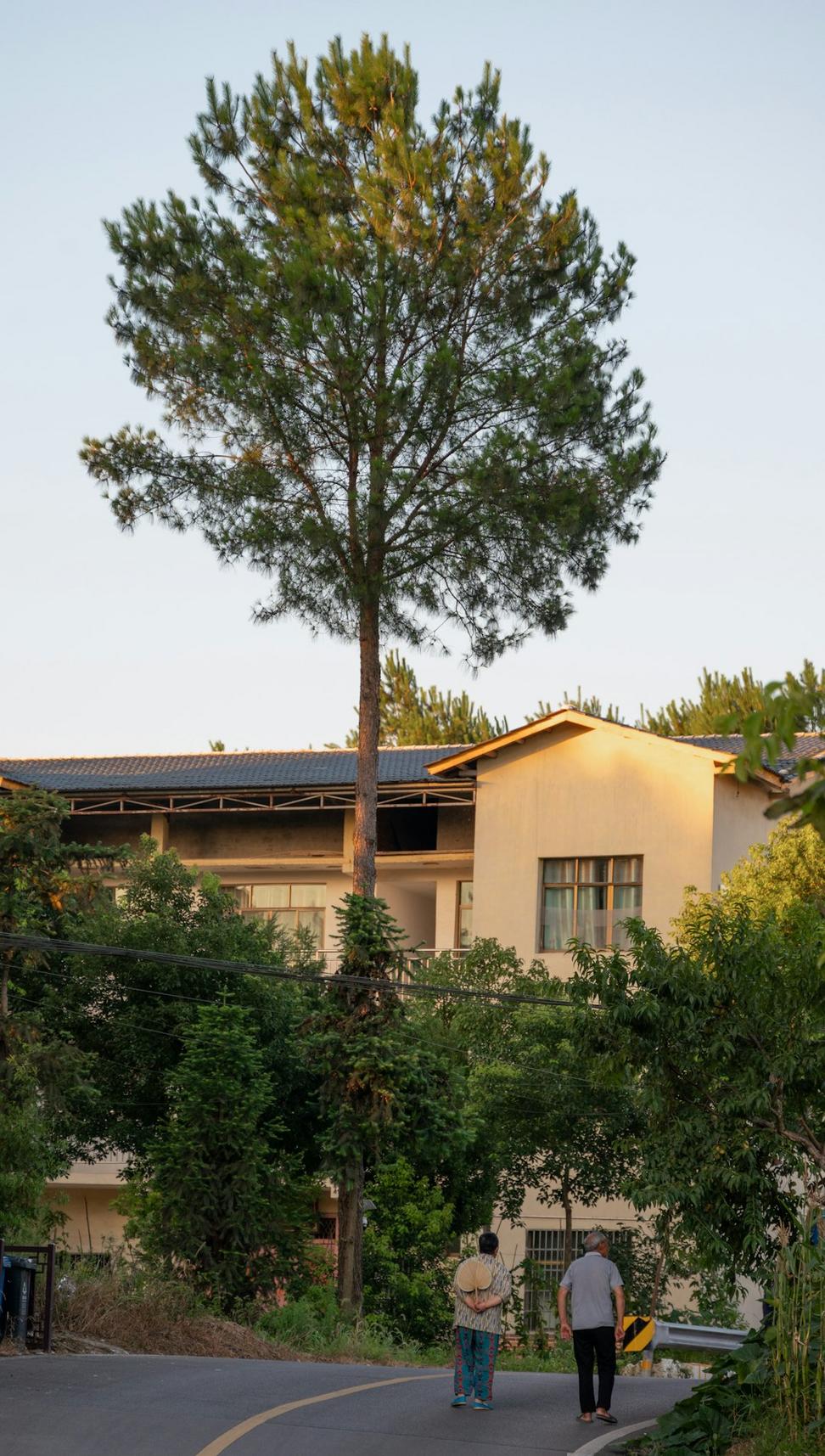 Rosedale Passive House
